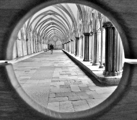 In The Cloisters At Salisbury Cathedral.