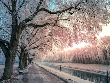 Die Weiße Elster Leipzig mit weißen Winterwald Querformat.