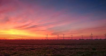 Feld mit Windkrafträdern im Sonnenschein