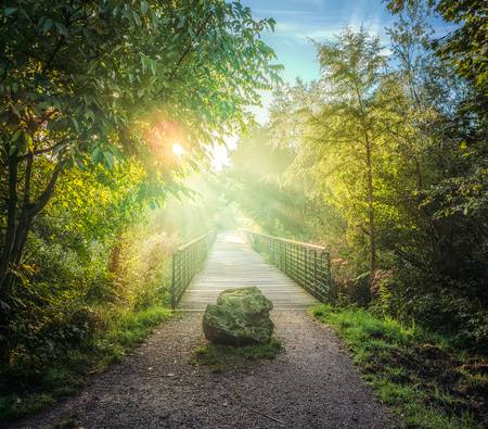 Fotografie von Morgensonne an der Lauer in Leipzig, Brücke im Nebel