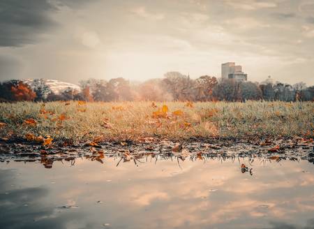 Rosental Leipzig im Herbst (2).jpg (6009 KB) 