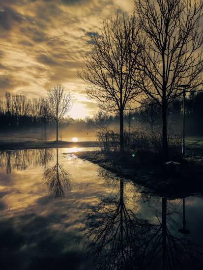 Sonnenaufgang im Nebel am Cospudener See