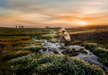 By a Flower Stream