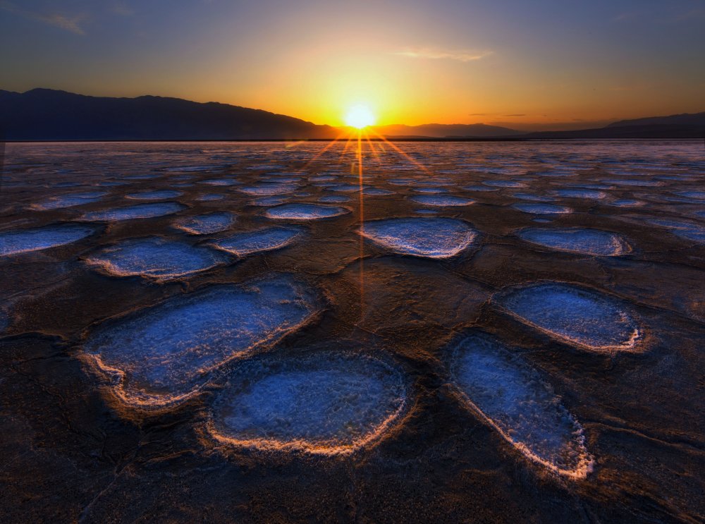Crystal Flower in Death Valley de Dianne Mao