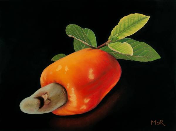 Cashewfrucht de Dietrich Moravec