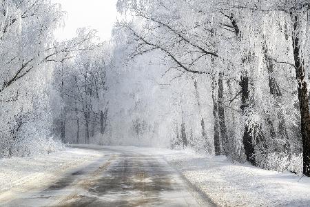 Winter road