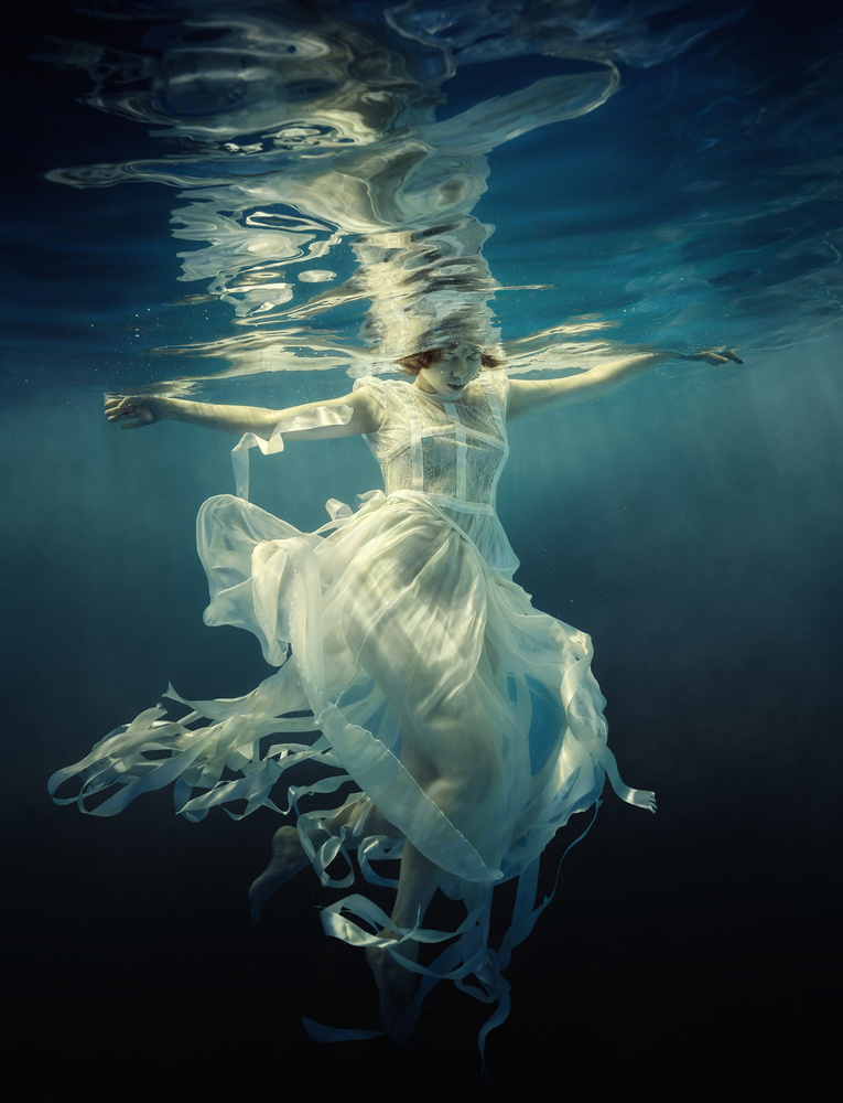Jellyfish de Dmitry Laudin