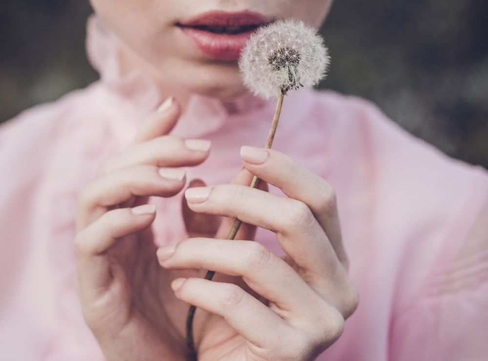 Dandelion de Dorota Górecka