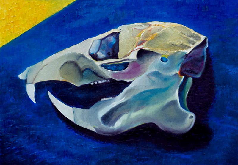 Skull no.5 de Azure