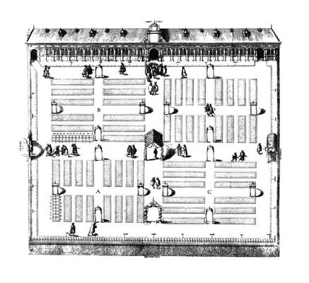 Leiden Botanic Garden (engraving) (b/w photo) de Dutch School, (17th century)