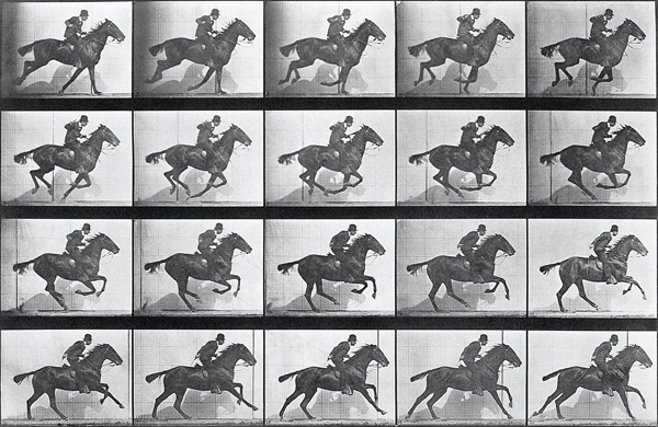 Galloping Horse, plate 628 from ''Animal Locomotion'', 1887 (b/w photo)  de Eadweard Muybridge