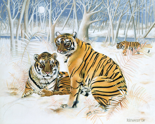 Tigers in the Snow de E.B.  Watts