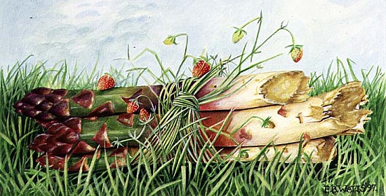Asparagus Tied with Wild Strawberries, 1997 (acrylic on paper)  de E.B.  Watts