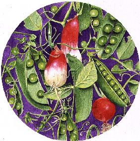 Peas with three Radishes, 1995 (acrylic) 