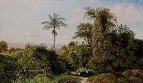 Cuban landscape. de Edmund Darch Lewis