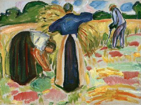 Munch, Harvest