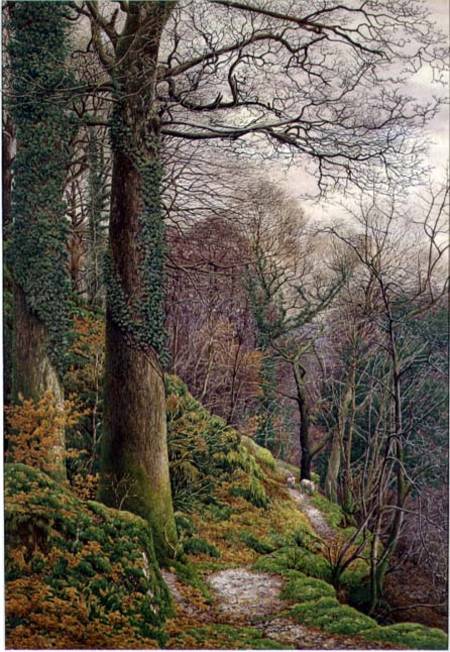 A Path in the Wood de Edward Bentley