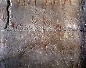 Goats eating a bush, relief from the Mastaba of Akhethotep at Saqqara, Old Kingdom