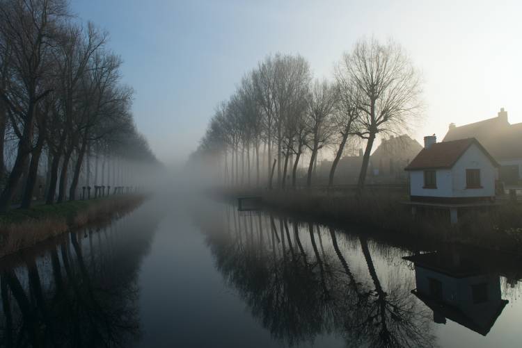 Mist across the Canal de Elisabeth Wehrmann