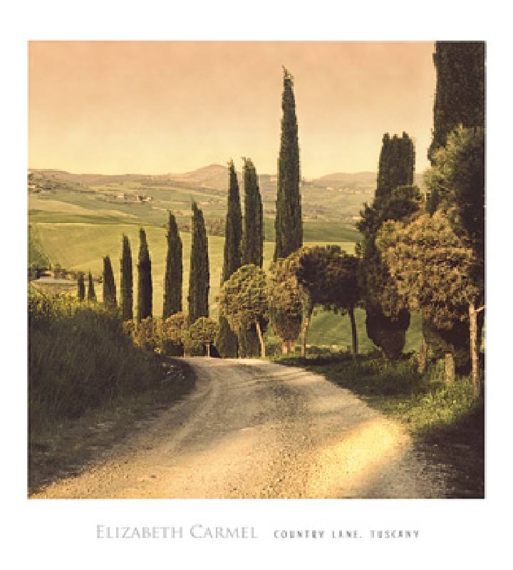 Titulo de la imágen Elizabet Carmel - Country Lane, Tuscany
