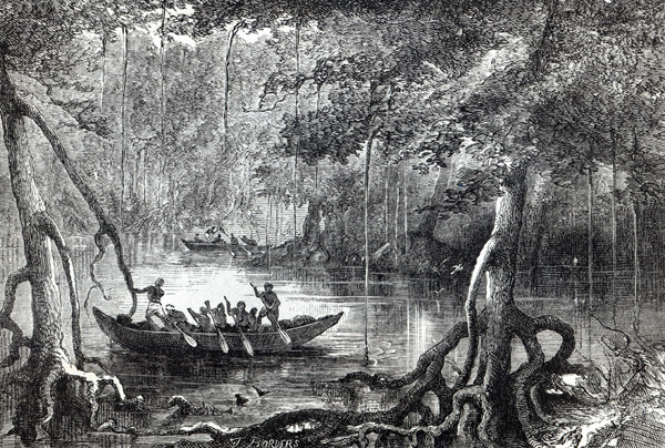 Mangrove Forest'', frontispiece illustration from ''Twenty Nine Years in the West Indies and Central de English School