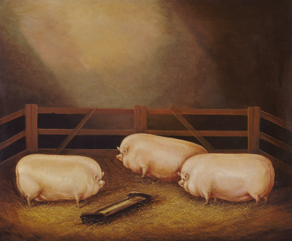 Three Prize Pigs outside a Sty de English School