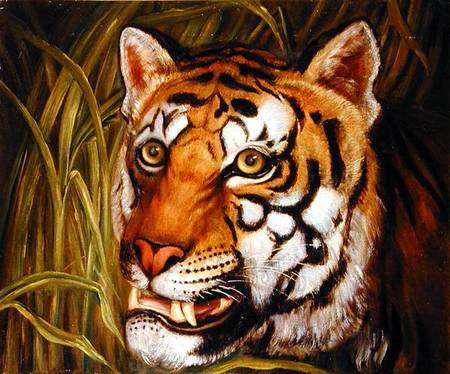 Tiger, tiger burning bright... de English School