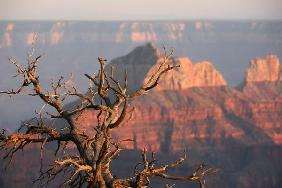 Abendstimmung am Grand Canyon