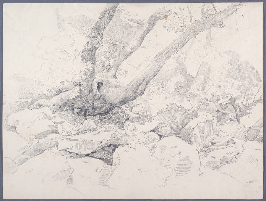 Verkrüppelter Baumstamm auf Felsen bei Ariccia de Ernst Fries