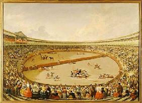 The Bullfight