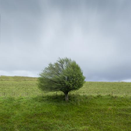 a wavy wind