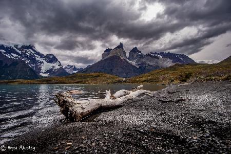 torres del pine