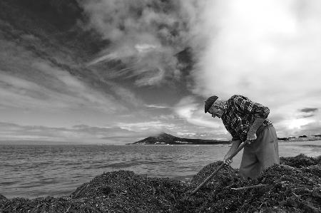 The Seaweed Man