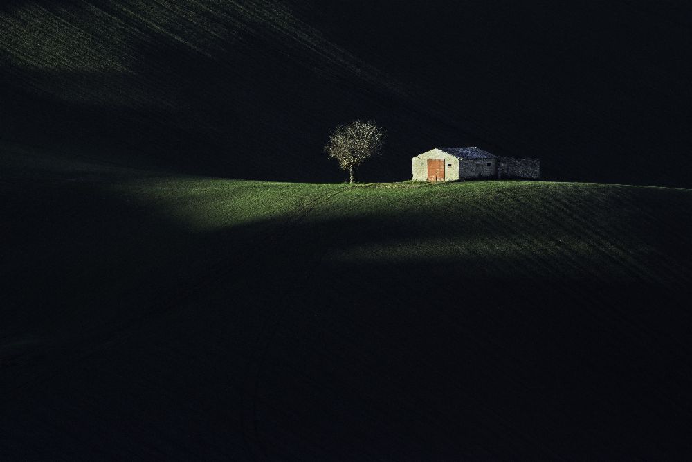 The red door de Fiorenzo Carozzi