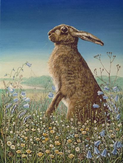 Hare