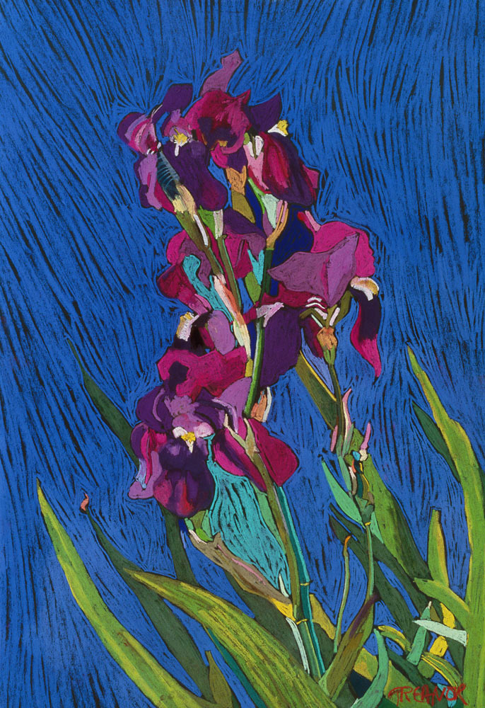 Irises de  Frances  Treanor