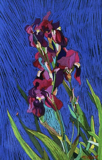 Irises de  Frances  Treanor