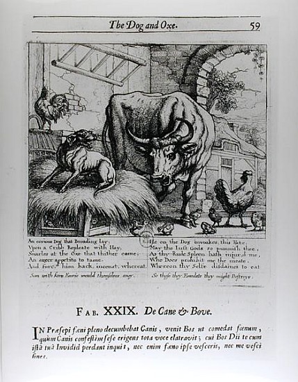 Illustration for ''The Dog and the Ox'', from Aesop''s Fables de Francis Barlow