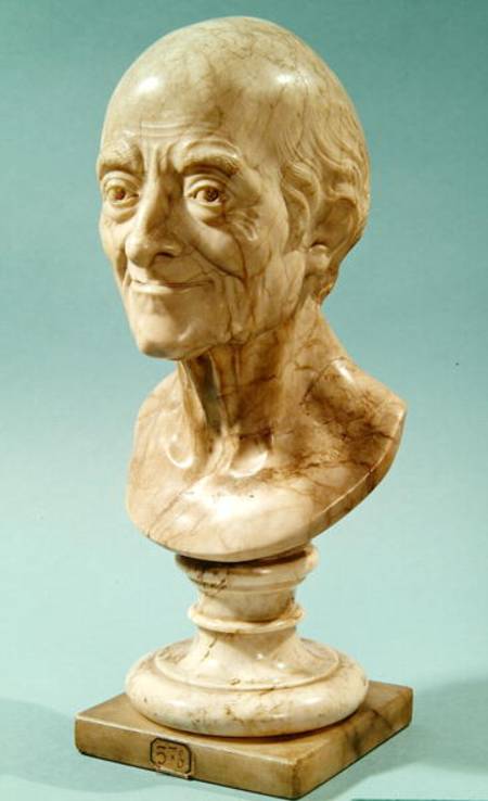 Bust of Voltaire (1694-1778) de Francois Marie Rosset