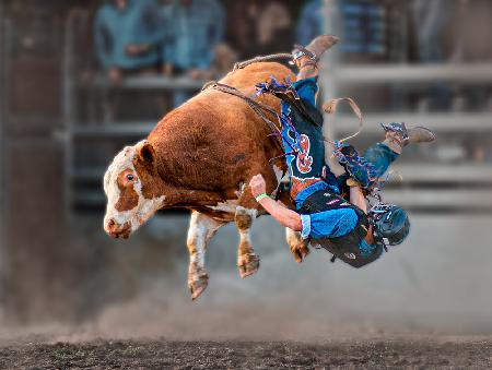 Bull Riding