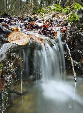 Kleiner Bach im Taunus