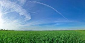 Farmland Panorama