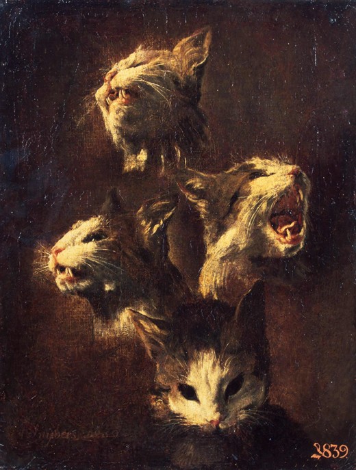 Studies of cats' heads de Frans Snyders