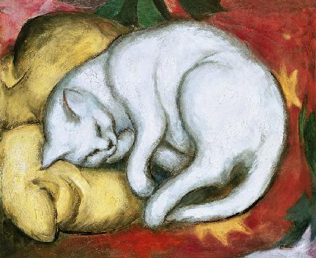Gato sobre el almohadón amarillo
