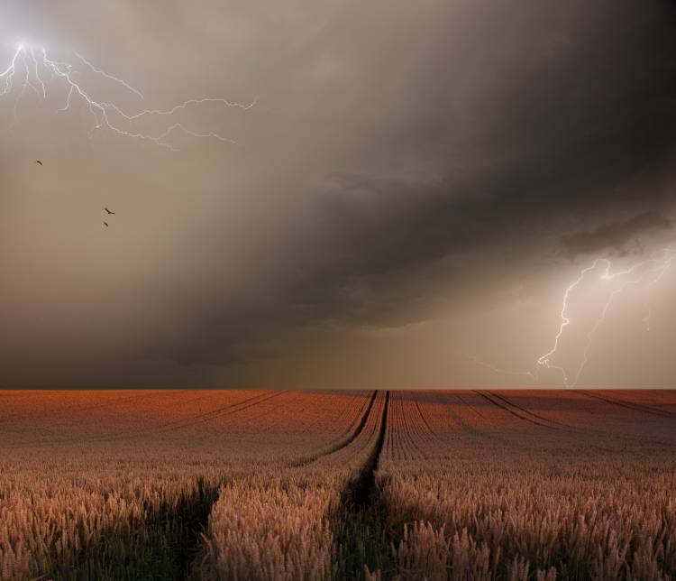 In the vastness of Strohgaeu de Franz Schumacher