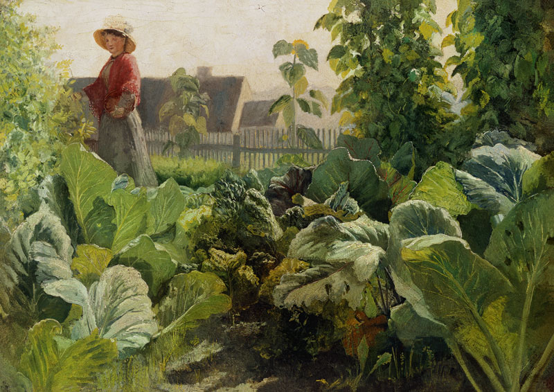 Cabbage garden in Schrobenhausen de Franz von Lenbach