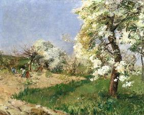 Pear Blossoms, Villiers-de-Bel