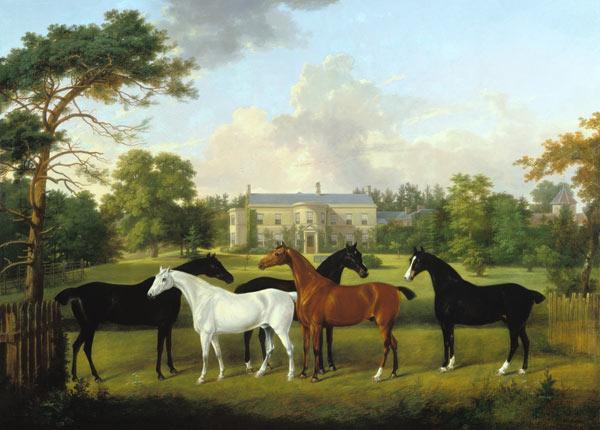 Five racehorses in front of an English country hou