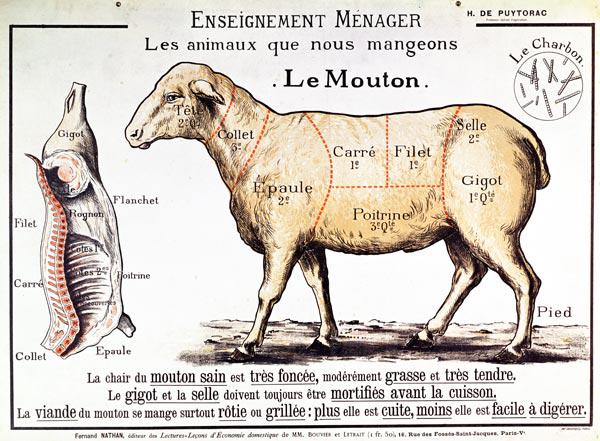 Mutton: diagrama que representa los diferentes cortes de carne (color litho)