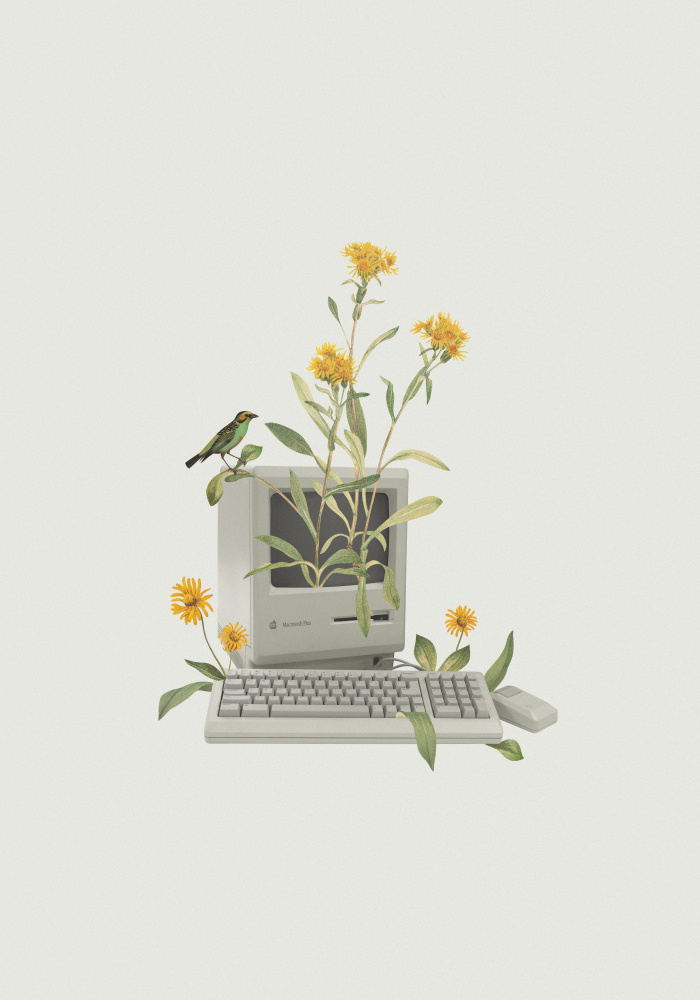 Floral vintage computer de Frida Floral Studio